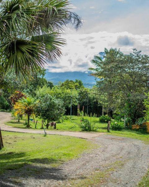 Linda Casa De Verano Con Amplias Zonas Verdes San Isidro De El General Esterno foto