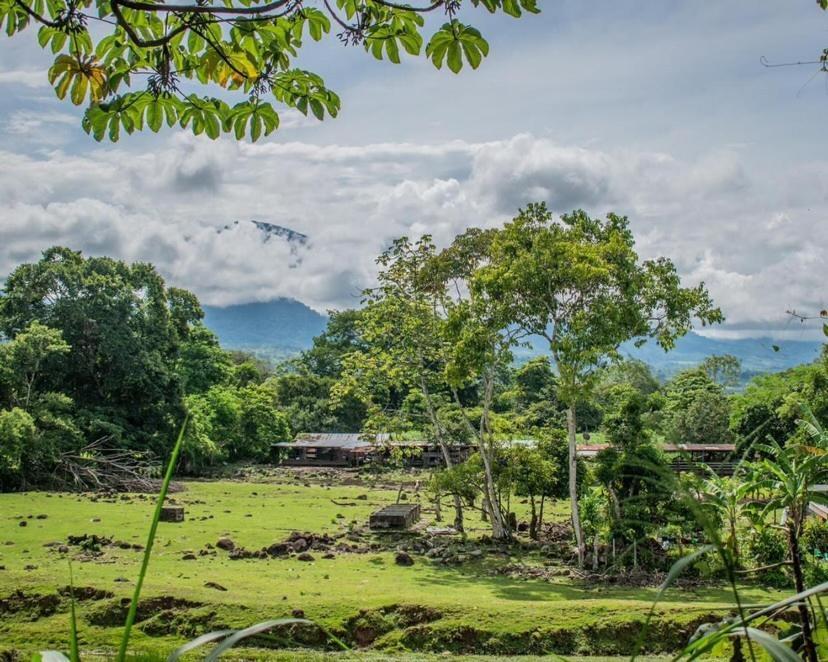 Linda Casa De Verano Con Amplias Zonas Verdes San Isidro De El General Esterno foto