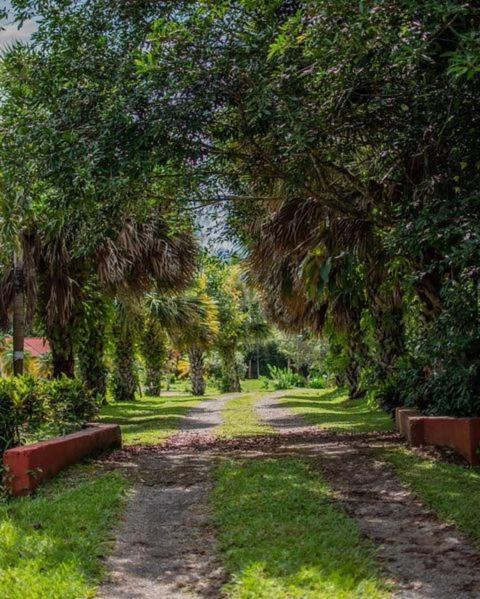 Linda Casa De Verano Con Amplias Zonas Verdes San Isidro De El General Esterno foto